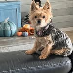 Donna Finochio Reich - @donna.reich.357 - Instagram