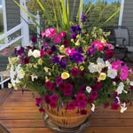 Donna Reichert - @donna.reichert.16 - Instagram