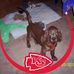 Donna Richey Reising - Facebook
