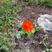 Donna Randell - Facebook