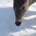 Donna Renn - Facebook