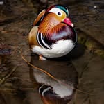 Donna Renshaw - @donnarenshawphotography - Instagram