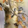 Donna Renshaw Ellis - @donna.renshaw.ell - TikTok
