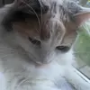 Donna Rzepka - @donnarzepka - TikTok