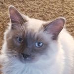 Donna Retter - @dlretter58 - Instagram
