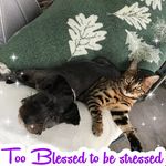 Donna Rene' Rhine - @donna.r.rhine.5 - Instagram
