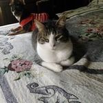Donna Rhinehardt - @donnarhinehardt130 - Instagram