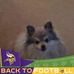 Donna Richmire - Facebook
