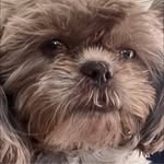 RickandDonna Nelson - @donnaricknelson - Instagram