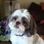 Donna Ricker - @ricker.donna - Instagram