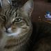 Donna Ricker - Facebook