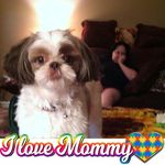 Donna Ricker - @ricker8366 - Instagram