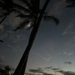 Donna Rickey - @djrickey1 - Instagram