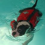 Donna Rickman - @otdrickman - Instagram