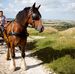 Dona Rideout - Facebook