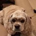 Donna Rideout - Facebook