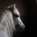 Donna Ridge - Facebook