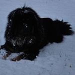 Donna Ridings - @ridingsdonna - Instagram
