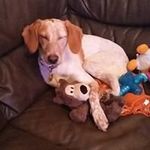Donna Ridings - @ridingdonna - Instagram