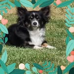 Donna Ridings - @donna.ridings.560 - Instagram