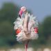 Donna Riebel - Facebook