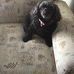 Donna Riedel - Facebook