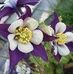 Donna Riedel - Facebook