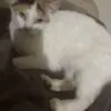 Donna Reiman - @donna.reiman - TikTok