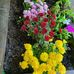 Donna Rieman - Facebook
