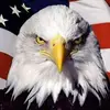 Donna Riggleman - @donna.riggleman - TikTok