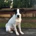 Donna Calautti Rinaldo - Facebook
