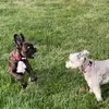 donnakrinaldo - @donnakrinaldo - TikTok
