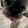 donna.england - @donna.england - TikTok