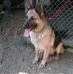 Donna Ringo - Facebook