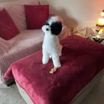 Donna Rini - Facebook