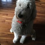 Donna Rinker - @donnarinker5 - Instagram