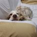 Donna Rinker - Facebook