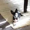 donnarinker948 - @donnarinker948 - TikTok