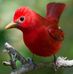 Donna Rios - Facebook