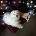 Donna Ray - Facebook