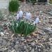Donna Rioux - Facebook