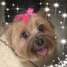 Donna Risinger - Facebook
