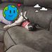 Donna Ritch - Facebook