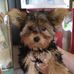 Donna Ritch - Facebook