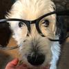 donnaritch891 - @donnaritch891 - TikTok