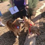 Donna Rittenhouse - @rittenhouse5905 - Instagram