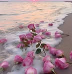 Donia Rafat - Facebook