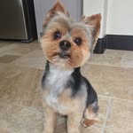Donna Rivette - @donnarivette - Instagram