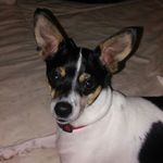 Donna Rizzo - @rizzod123 - Instagram