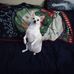 Donna Rizzo - Facebook